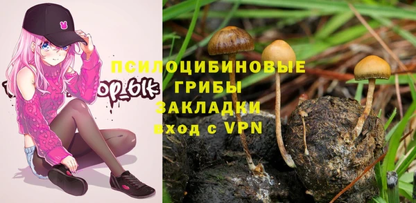 spice Алзамай