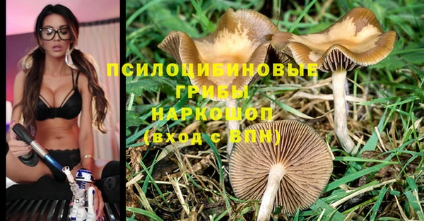 мяу мяу кристалл Алексин